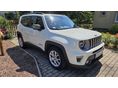 JEEP RENEGADE 2021/9 - 2