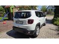 JEEP RENEGADE 2021/9 - 3
