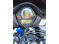 SUZUKI SV 650 S 2004 - 9