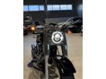 HARLEY-DAVIDSON FAT BOY 2021/8 - 6
