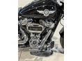 HARLEY-DAVIDSON FAT BOY 2021/8 - 5