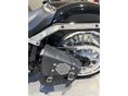 HARLEY-DAVIDSON FAT BOY 2021/8 - 9
