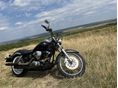 YAMAHA XVS 250 2002/3 - 2