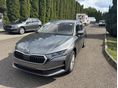 SKODA OCTAVIA 2026/6 - 1