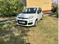 FIAT PANDA 1.0 BSG City Life
