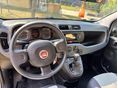 FIAT PANDA 2021/5 - 7