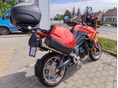 TRIUMPH TIGER 1050 2008/4 - 2
