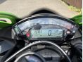 KAWASAKI ZX-10 R (NINJA) 2019 - 2
