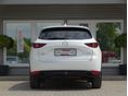 www.vanauto.hu