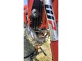 GAS GAS EC 300 2024/12 - 7