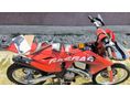 GAS GAS EC 300 2024/12 - 8