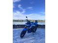 SUZUKI GSX-S 125 
