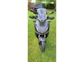 HONDA ADV 350 2023/9 - 5