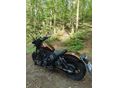 HONDA CMX 1100 2022/11 - 3