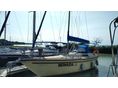 BALATON 31