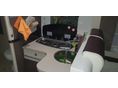 CHAUSSON 2017/5 - 5