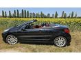 PEUGEOT 207 2007/4 - 3