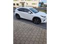 LEXUS NX 300h Luxury CVT