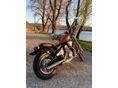 HONDA VT 600 C SHADOW PC21