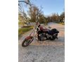 HONDA VT 600 C SHADOW 1996/4 - 2