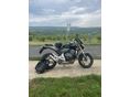 HONDA CB 600 F (HORNET) 2007/5 - 5