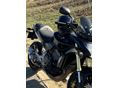 HONDA CB 600 F (HORNET) 2007/5 - 3