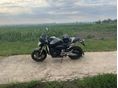 HONDA CB 600 F (HORNET) 2007/5 - 5