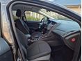 FORD FOCUS 2015/8 - 7