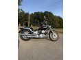 YAMAHA XVS 650 DRAG STAR 