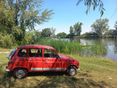RENAULT R 4 1989 - 6