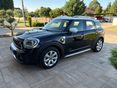 MINI COUNTRYMAN 2021/3 - 3