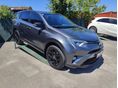 TOYOTA RAV 4 2019/2 - 3