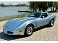 CHEVROLET CORVETTE 1981/9 - 1