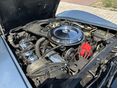 CHEVROLET CORVETTE 1981/9 - 9