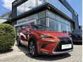 LEXUS NX 2020/1 - 2