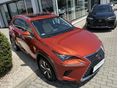 LEXUS NX 2020/1 - 3
