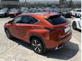 LEXUS NX 2020/1 - 6