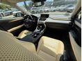 LEXUS NX 2020/1 - 8