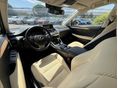 LEXUS NX 2020/1 - 7