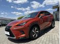 LEXUS NX 2020/1 - 4