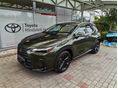 LEXUS NX 350h Executive Top AWD CVT Mo-i. Garancia: 2028/05-ig. Téli és nyári szett alufelnire szerelve. ÁFÁ-s
