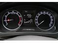 SKODA RAPID 2019/4 - 8