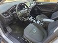 FORD FOCUS 2024/5 - 6