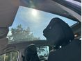 PEUGEOT 5008 2012/5 - 12