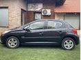 PEUGEOT 207 2008/10 - 3