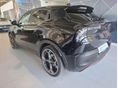 ALFA ROMEO JUNIOR 2025/6 - 3