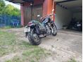 HONDA NV 400 C STEED 1998/6 - 3