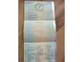 FIAT SEICENTO 2006/3 - 9