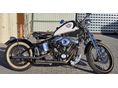 HARLEY-DAVIDSON SOFTAIL EVO Springer