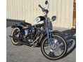 HARLEY-DAVIDSON SOFTAIL 1993/7 - 2